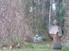 Filename=RobertPinaTurkey.jpg
Filesize=150KiB
Dimensions=960x720
Date added=Apr 30, 2025 RobertPinaTurkey.jpg