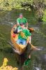 Rochester-Memorial-Day-Boat-Race-18.jpg