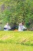 Filename=Rochester-Memorial-Day-Boat-Race-23.jpg
Filesize=188KiB
Dimensions=481x720
Date added=May 27, 2020 Rochester-Memorial-Day-Boat-Race-23.jpg