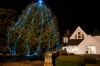 Rochester-Tree-16.jpg