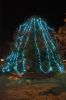 Filename=Rochester-Tree-Lighting-10.jpg
Filesize=174KiB
Dimensions=648x976
Date added=Dec 10, 2014 Rochester-Tree-Lighting-10.jpg