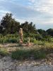 Filename=Rock_Balance_7249.jpg
Filesize=144KiB
Dimensions=540x720
Date added=Jul 29, 2020 Rock_Balance_7249.jpg