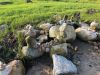 Filename=Rock_Balance_7250.jpg
Filesize=332KiB
Dimensions=960x720
Date added=Jul 29, 2020 Rock_Balance_7250.jpg