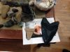 Filename=Rocks-and-minerals-036.jpg
Filesize=155KiB
Dimensions=960x720
Date added=Nov 03, 2016 Rocks-and-minerals-036.jpg