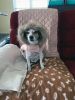 Filename=Rosie.jpg
Filesize=81KiB
Dimensions=540x720
Date added=Mar 22, 2023 Rosie.jpg