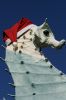 Filename=SALTY_0005.jpg
Filesize=237KiB
Dimensions=1200x1800
Date added=Dec 16, 2009 SALTY_0005.jpg