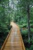 Filename=SLT-Osprey-Boardwalk_0196.jpg
Filesize=172KiB
Dimensions=480x720
Date added=Jul 22, 2020 SLT-Osprey-Boardwalk_0196.jpg
