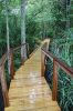 Filename=SLT-Osprey-Boardwalk_0202.jpg
Filesize=168KiB
Dimensions=480x720
Date added=Jul 22, 2020 SLT-Osprey-Boardwalk_0202.jpg