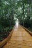 Filename=SLT-Osprey-Boardwalk_0211.jpg
Filesize=152KiB
Dimensions=480x720
Date added=Jul 22, 2020 SLT-Osprey-Boardwalk_0211.jpg