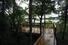 Filename=SLT-Osprey-Boardwalk_0213.jpg
Filesize=311KiB
Dimensions=1080x720
Date added=Jul 22, 2020 SLT-Osprey-Boardwalk_0213.jpg