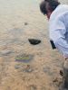 Filename=SLT-Pool-042023-Alan-Harris-sees-jellyfish-Photo-Jeffrey-Wagner.jpg
Filesize=109KiB
Dimensions=540x720
Date added=Apr 19, 2023 SLT-Pool-042023-Alan-Harris-sees-jellyfish-Photo-Jeffrey-Wagner.jpg