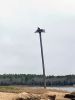 Filename=SLT-Pool-042023-Ospreys-Photo-Jeffrey-Wagner.jpg
Filesize=49KiB
Dimensions=540x720
Date added=Apr 19, 2023 SLT-Pool-042023-Ospreys-Photo-Jeffrey-Wagner.jpg