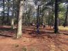 Filename=ScoutsWashburn_0732.jpg
Filesize=362KiB
Dimensions=960x720
Date added=May 02, 2018 ScoutsWashburn_0732.jpg