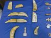 Filename=Scrimshaw_5806.jpg
Filesize=145KiB
Dimensions=960x720
Date added=Jun 27, 2018 Scrimshaw_5806.jpg