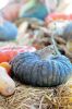 Filename=SeniorDinner_4.jpg
Filesize=240KiB
Dimensions=864x1301
Date added=Nov 27, 2013 SeniorDinner_4.jpg