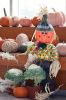 Filename=SeniorThanks_9823.jpg
Filesize=105KiB
Dimensions=480x720
Date added=Nov 22, 2016 SeniorThanks_9823.jpg