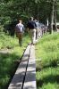 ShawTrail_5800.jpg