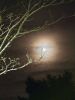 Filename=ShepleyMoon1.jpg
Filesize=63KiB
Dimensions=540x720
Date added=Mar 19, 2025 ShepleyMoon1.jpg