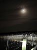 Filename=ShepleyMoon2.jpg
Filesize=54KiB
Dimensions=540x720
Date added=Mar 19, 2025 ShepleyMoon2.jpg