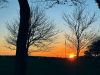 Filename=ShepleySunset.jpg
Filesize=229KiB
Dimensions=960x720
Date added=Nov 27, 2024 ShepleySunset.jpg