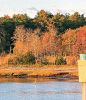 Filename=Shepley_2_102623.jpg
Filesize=180KiB
Dimensions=624x720
Date added=Oct 25, 2023 Shepley_2_102623.jpg