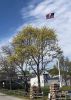 Filename=Shepley_4572.jpg
Filesize=150KiB
Dimensions=514x720
Date added=May 27, 2020 Shepley_4572.jpg