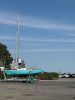 Shepley_4871.jpg