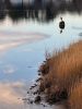 Filename=Shepley_6366.jpg
Filesize=115KiB
Dimensions=540x720
Date added=Jan 09, 2025 Shepley_6366.jpg