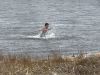 Filename=Shepley_6379.jpg
Filesize=255KiB
Dimensions=960x720
Date added=Jan 09, 2025 Shepley_6379.jpg