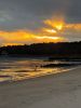 Filename=Shepley_6518.jpg
Filesize=79KiB
Dimensions=540x720
Date added=Jan 09, 2025 Shepley_6518.jpg
