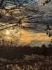 Filename=Shepley_6697.jpg
Filesize=207KiB
Dimensions=540x720
Date added=Jan 09, 2025 Shepley_6697.jpg
