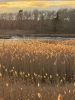 Filename=Shepley_6706.jpg
Filesize=140KiB
Dimensions=540x720
Date added=Jan 09, 2025 Shepley_6706.jpg