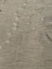 Filename=Shepley_7168.jpg
Filesize=150KiB
Dimensions=540x720
Date added=Jan 29, 2025 Shepley_7168.jpg
