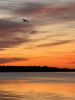 Filename=Shepley_8126.jpg
Filesize=63KiB
Dimensions=540x720
Date added=Feb 12, 2025 Shepley_8126.jpg