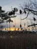 Filename=Shepley_8159.jpg
Filesize=134KiB
Dimensions=540x720
Date added=Feb 12, 2025 Shepley_8159.jpg