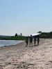 Filename=Shepley_board.jpg
Filesize=107KiB
Dimensions=540x720
Date added=Jul 14, 2023 Shepley_board.jpg
