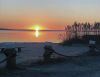 Filename=Silvershell.jpg
Filesize=85KiB
Dimensions=928x720
Date added=Jan 09, 2019 Silvershell.jpg