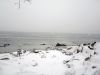 Filename=Snow_DG__0334.jpg
Filesize=75KiB
Dimensions=864x648
Date added=Feb 14, 2013 Snow_DG__0334.jpg