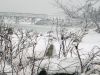 Filename=Snow_DG__0335.jpg
Filesize=181KiB
Dimensions=864x648
Date added=Feb 14, 2013 Snow_DG__0335.jpg