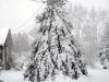 Filename=Snow_DG__0341.jpg
Filesize=155KiB
Dimensions=864x648
Date added=Feb 14, 2013 Snow_DG__0341.jpg