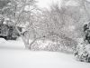 Filename=Snow_DG__0342.jpg
Filesize=160KiB
Dimensions=864x648
Date added=Feb 14, 2013 Snow_DG__0342.jpg