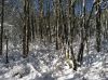 Filename=Snow_SS_75.jpg
Filesize=256KiB
Dimensions=864x645
Date added=Feb 14, 2013 Snow_SS_75.jpg