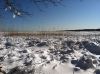 Filename=Snow_SS_78.jpg
Filesize=170KiB
Dimensions=864x645
Date added=Feb 14, 2013 Snow_SS_78.jpg