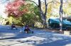 Filename=Soapbox-111424-cover2-.jpg
Filesize=389KiB
Dimensions=1080x720
Date added=Nov 14, 2024 Soapbox-111424-cover2-.jpg