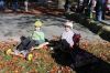 Filename=SoapboxDerby_0091.jpg
Filesize=290KiB
Dimensions=1080x720
Date added=Nov 06, 2019 SoapboxDerby_0091.jpg