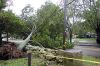 StormDamage54_32.jpg