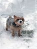 Filename=Storm_Lavoie.jpg
Filesize=69KiB
Dimensions=540x720
Date added=Feb 03, 2022 Storm_Lavoie.jpg