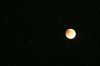 Filename=SuperMoon_7930.jpg
Filesize=31KiB
Dimensions=648x432
Date added=Oct 02, 2015 SuperMoon_7930.jpg