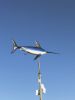 Swordfish-by-Marilou-060823.jpg