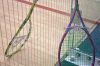 Filename=Tabor_Squash_7861.jpg
Filesize=132KiB
Dimensions=864x576
Date added=Jan 09, 2013 Tabor_Squash_7861.jpg